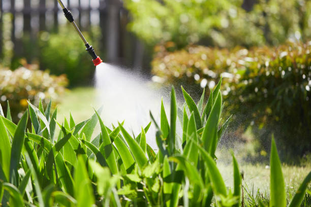 24/7 Emergency Mosquito Control experts in Lawrenceville, GA